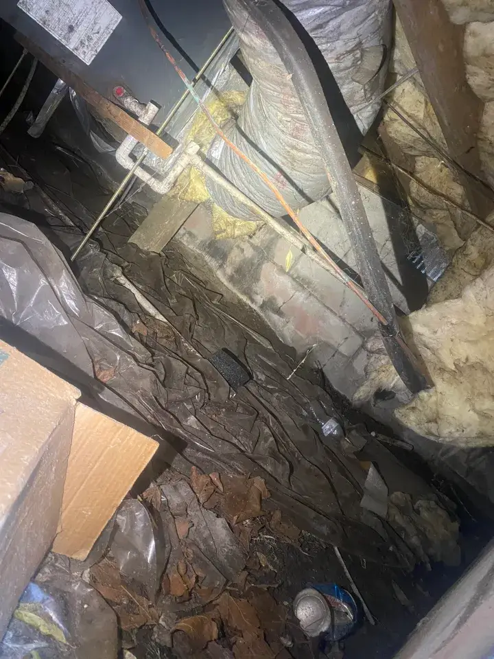 Basement with exposed pipes and insulation, debris scattered on the floor, and a cardboard box in the corner.